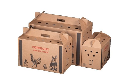 Transportkarton für tiere - für,